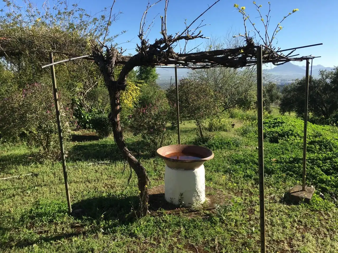 Casa rústica amb jardí en venda a Bobadilla - Bobadilla Estación - La Joya, imagen 6