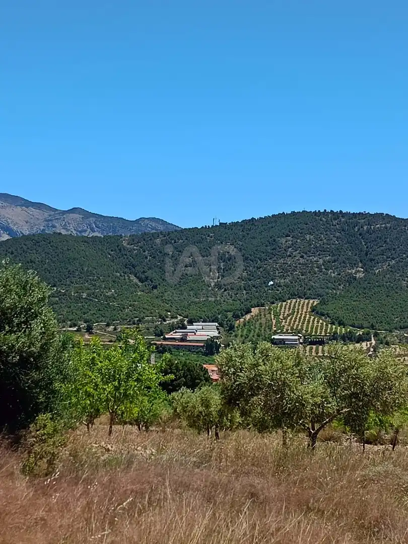 Terreno en venta en Lorca