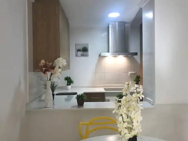 Wohnungen zur Miete in Calle San Pascual, 243, Avenida Habaneras - Curva de Palangre