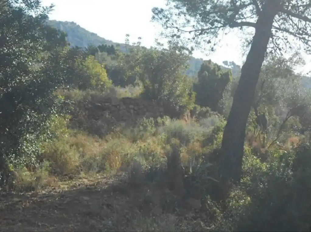 Terreno rústico en venta en CANTERERES, LES, imagen 2