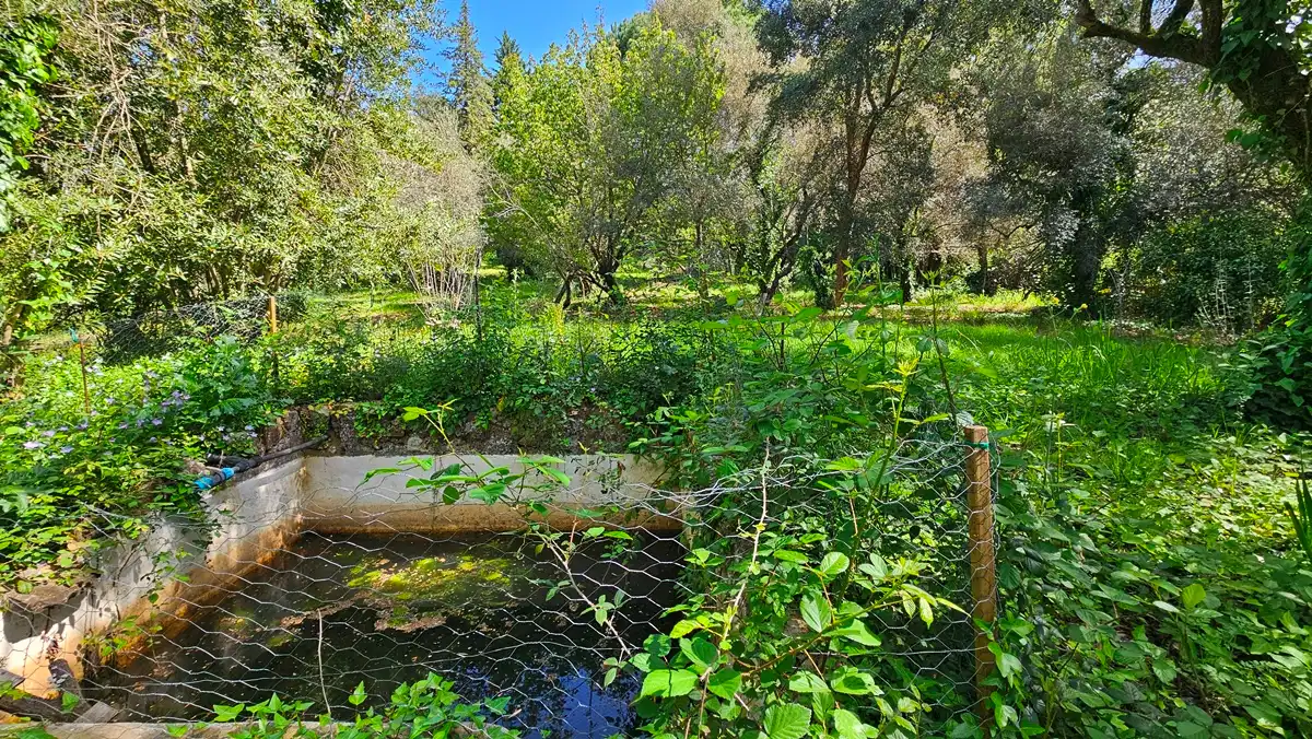 Jardín de Casa o chalet en venta en Santa Ana la Real con Jardín privado, Terraza y Trastero