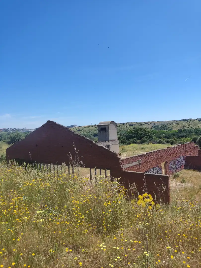Exterior view of Land for sale in Navalcarnero