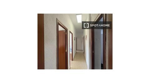 Photo 4 of Apartment to share in San Antón, Murcia