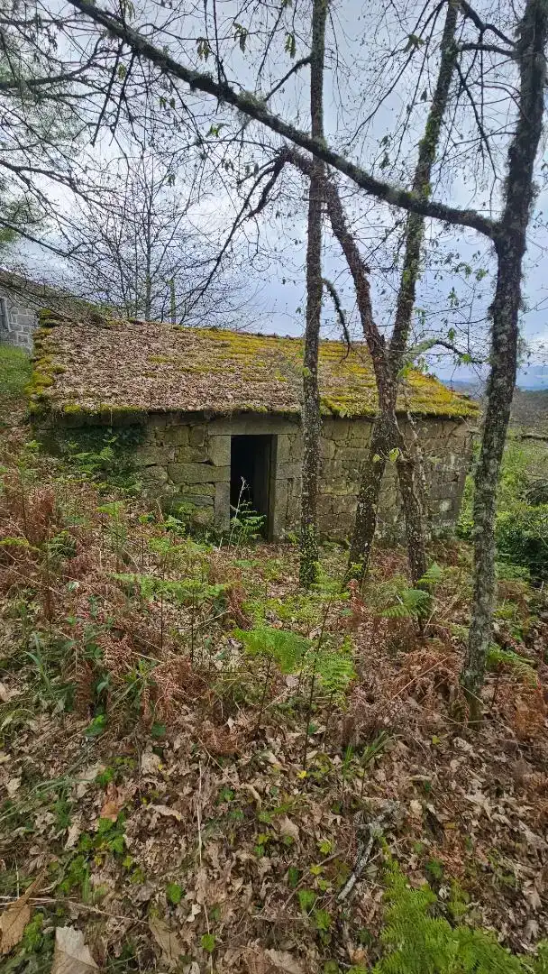 Vista exterior de Casa o chalet en venta en Lobios