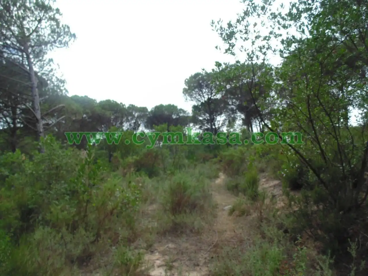 Rural land for sale in Montbarbat, imagen 8