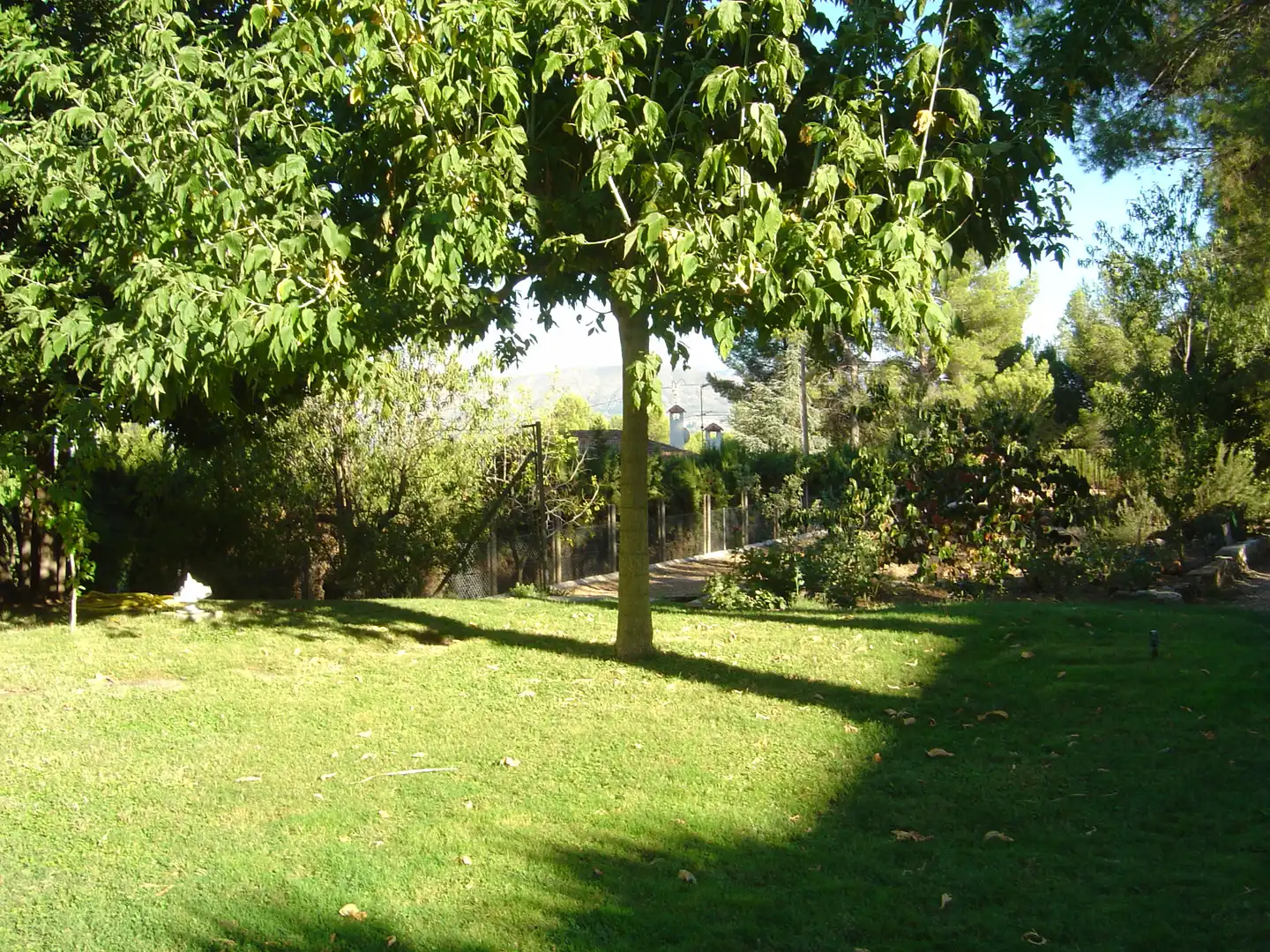 Villa con terrazza in vendita a Muro de Alcoy, imagen 99