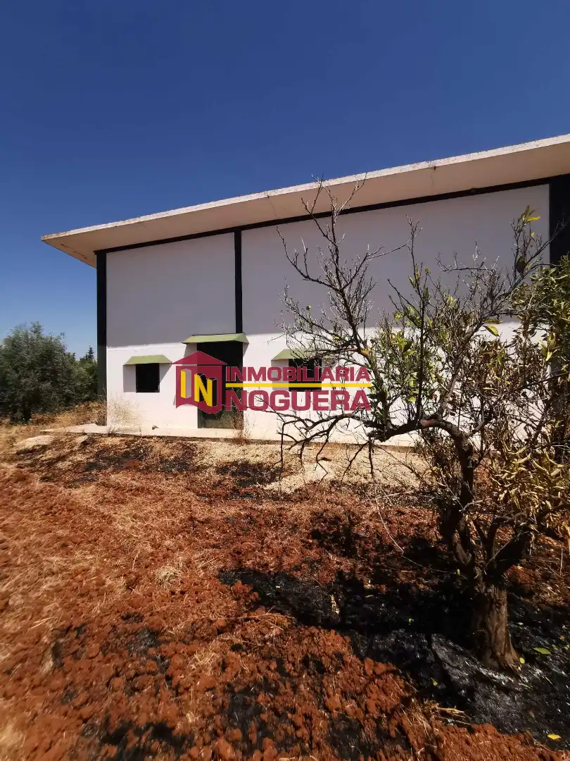 Vista exterior de Terreno en venta en Écija