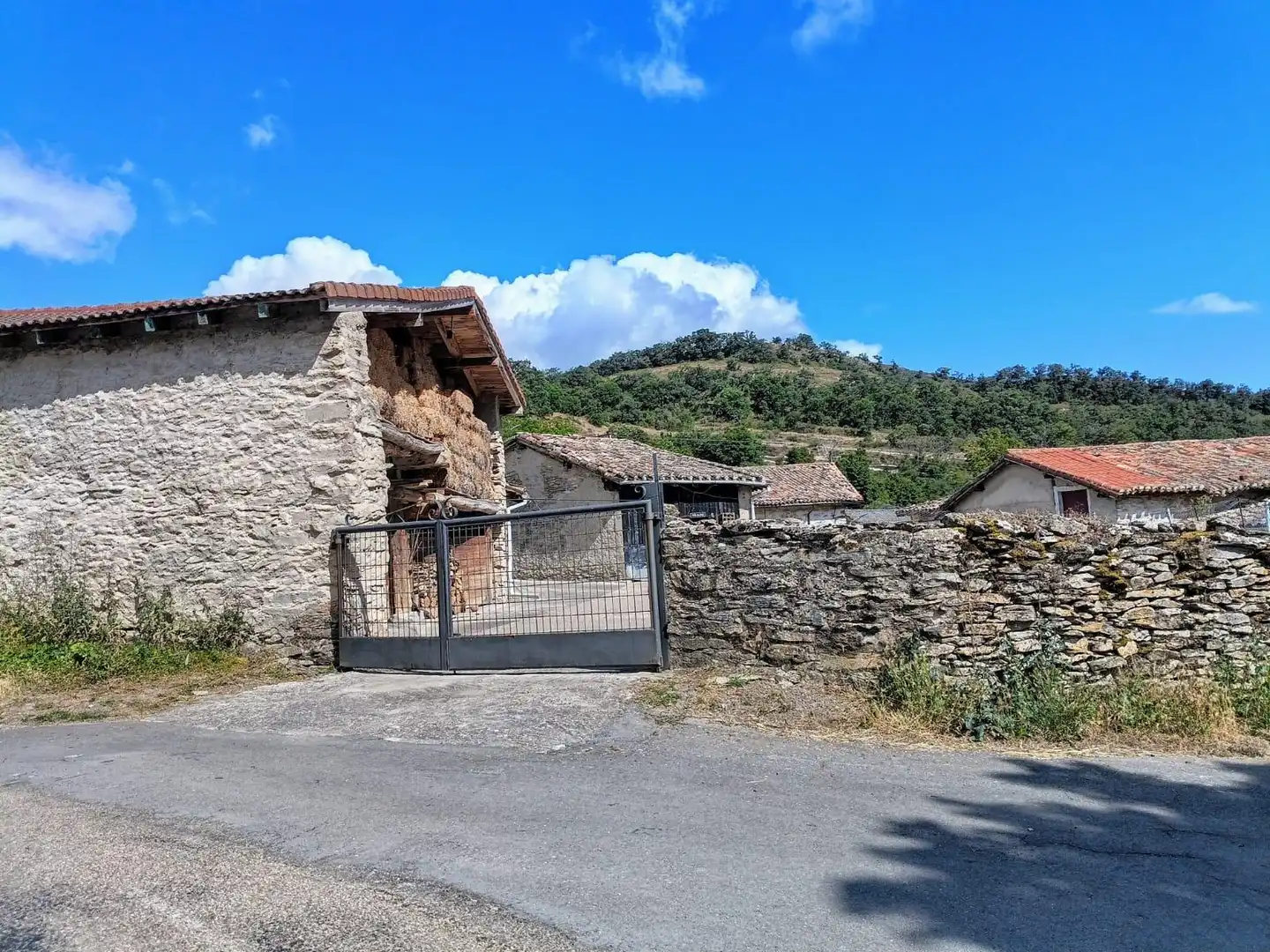 Vista exterior de Casa o chalet en venta en Junta de Villalba de Losa con Jardín privado