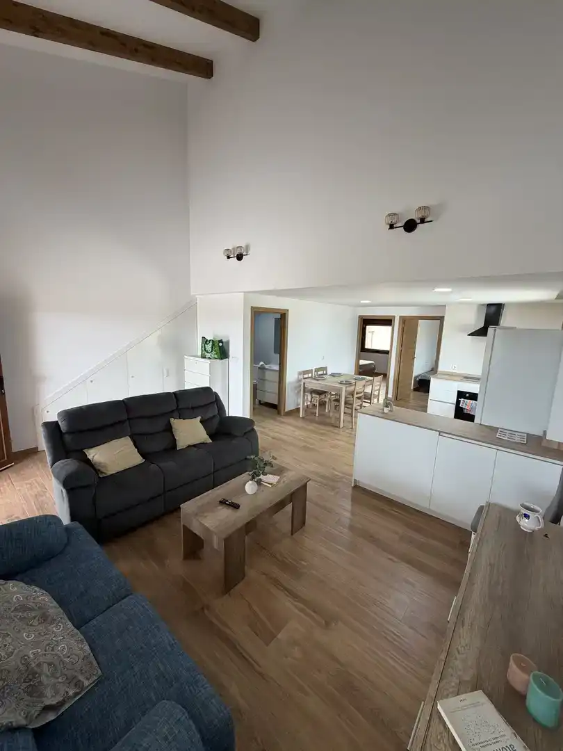 Living room of Apartments for rent in Elche / Elx  with Private garden and Furnished