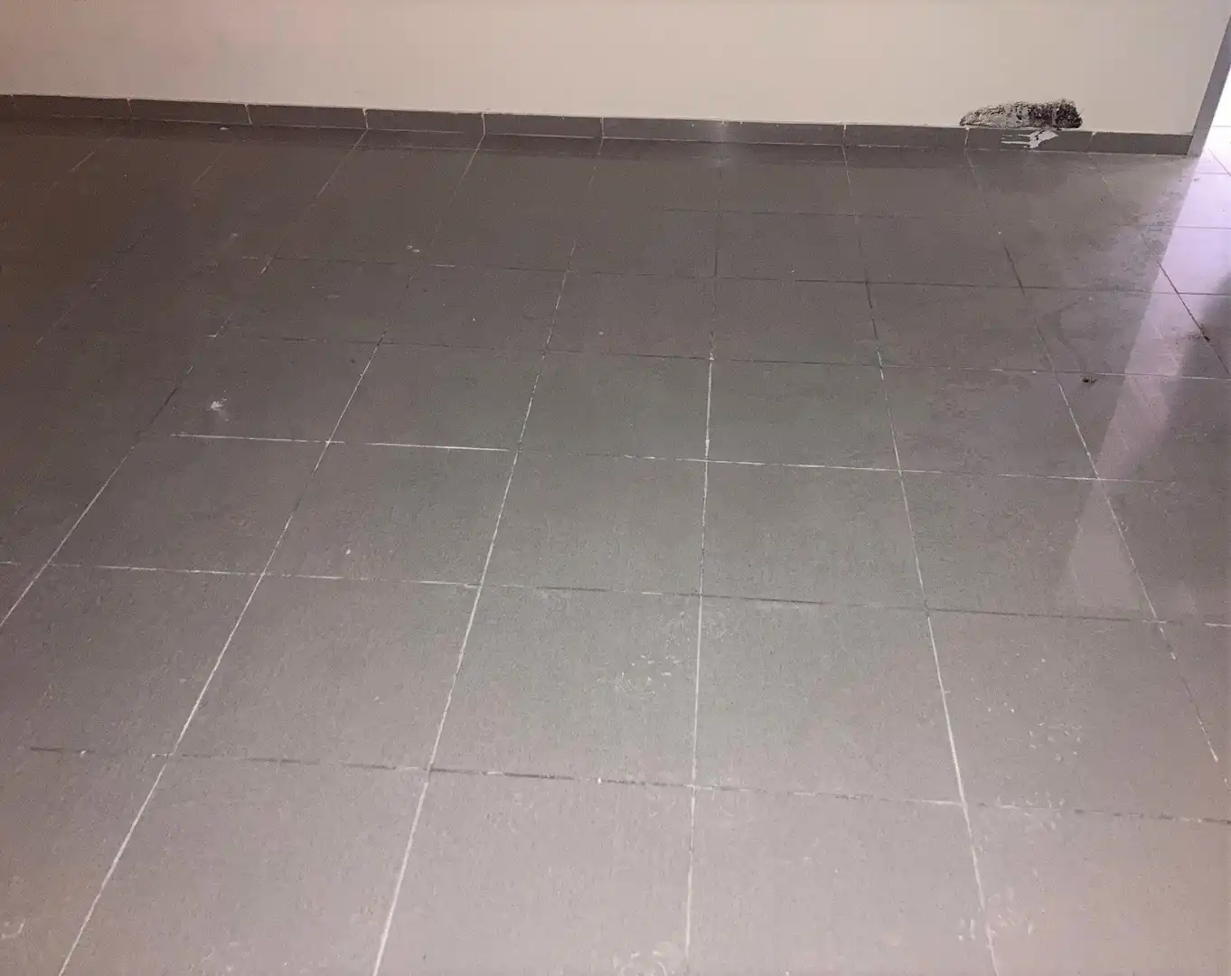 Local comercial en alquiler en Los Barrios, imagen 14