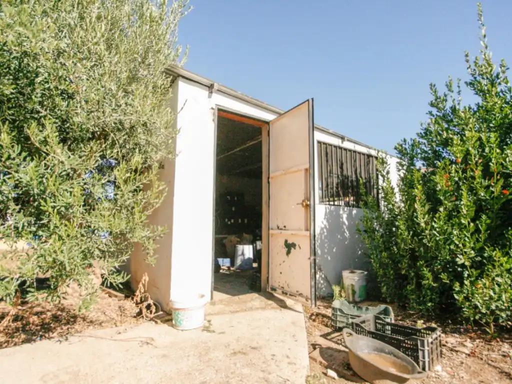 Casa rústica en venta en Partida Egido, imagen 30