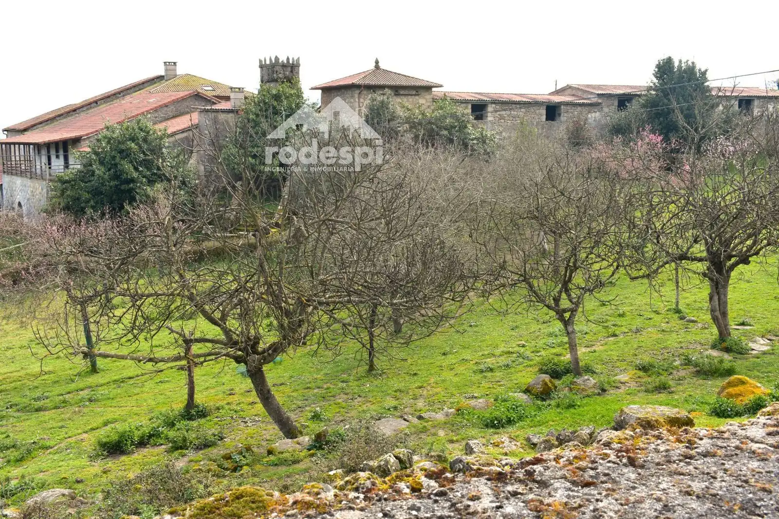 Buildings for sale in Pantón