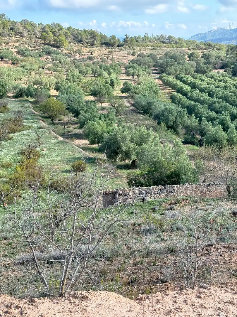 Terreno en venta en La Fatarella