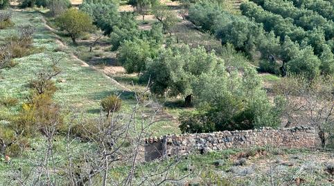 Foto 2 de Terreny en venda a Carrer de Sant Andreu, 7, La Fatarella, Tarragona