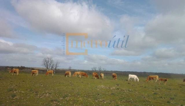 Terreno en Venta en Ledesma