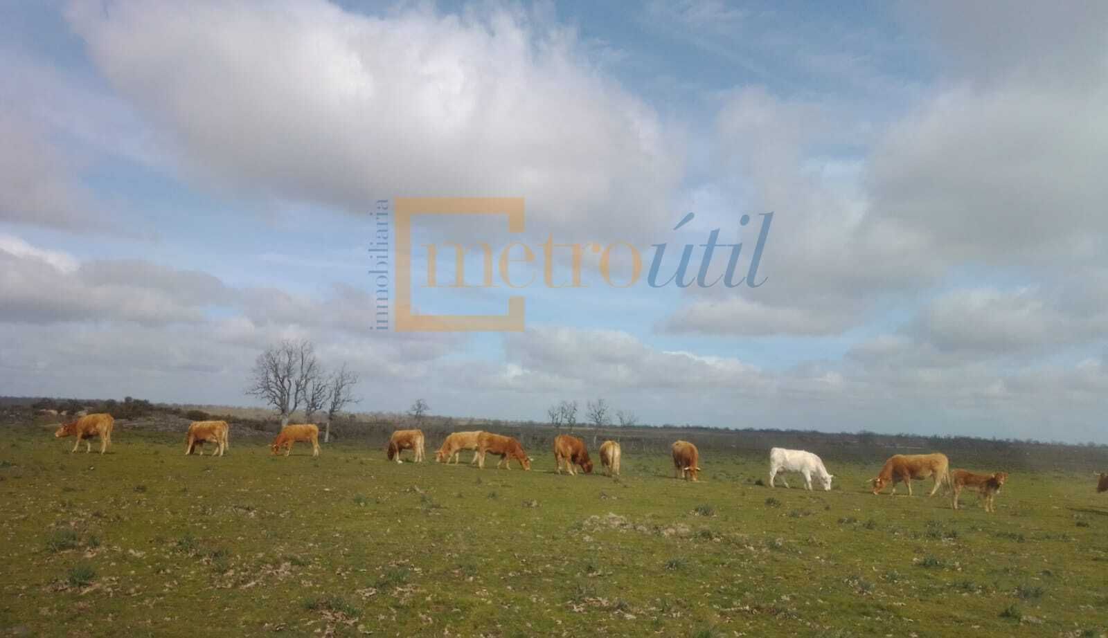 Land for sale in Ledesma