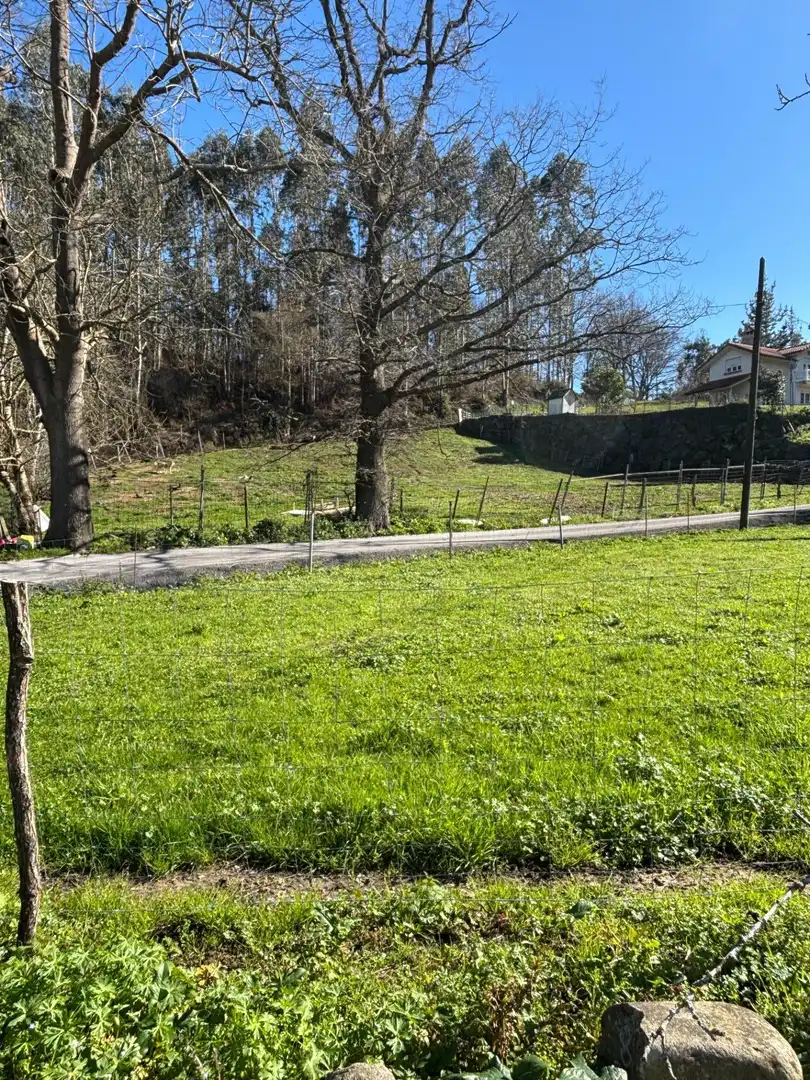 Terreno rustico in vendita a Polígono POLIGONO 504 PARCELA 43 MIRAMATA, imagen 2