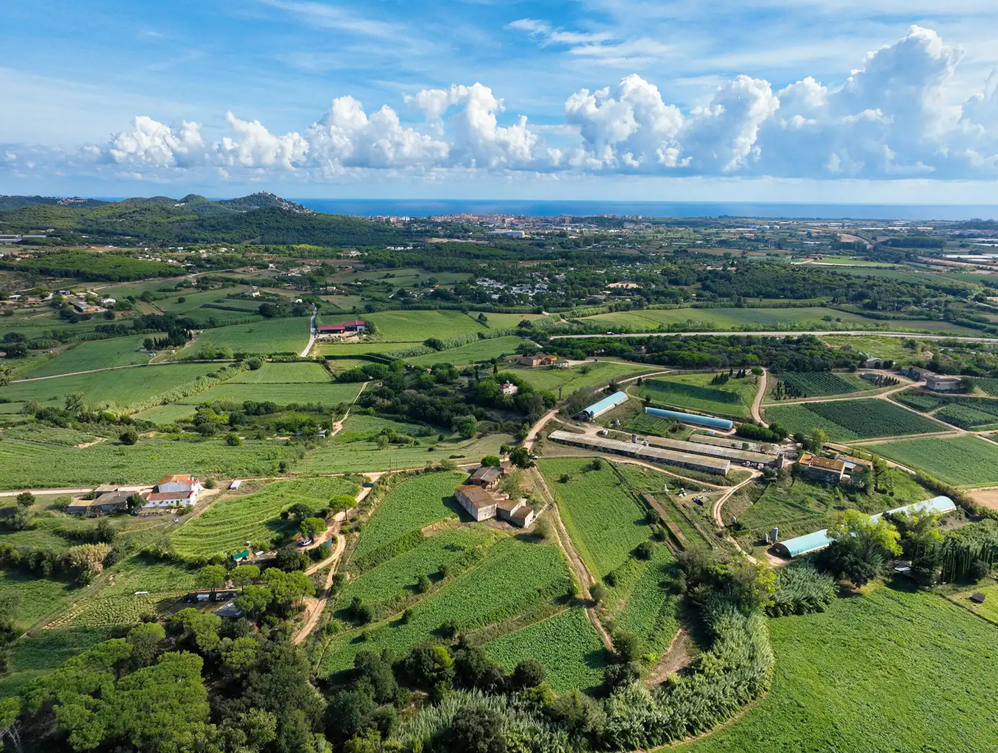 Finca rústica en venda en Mas Mora - Sant Daniel