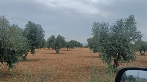 Immagine 3 dell'annuncio