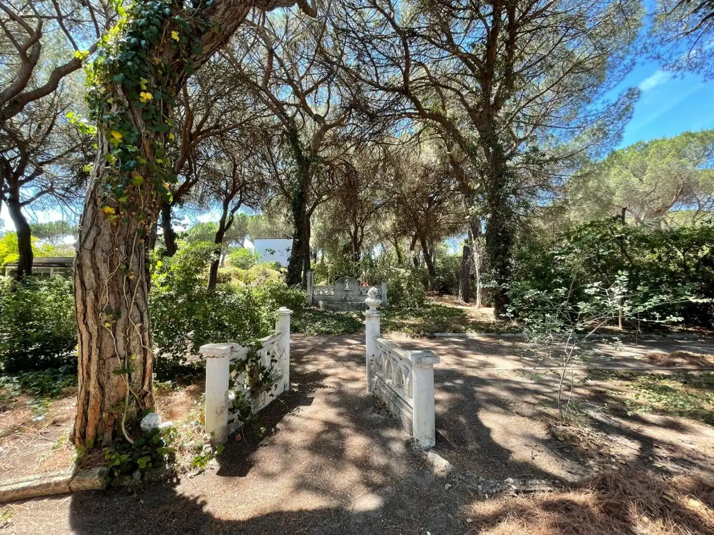 Jardí de Casa o xalet en venda en Valladolid