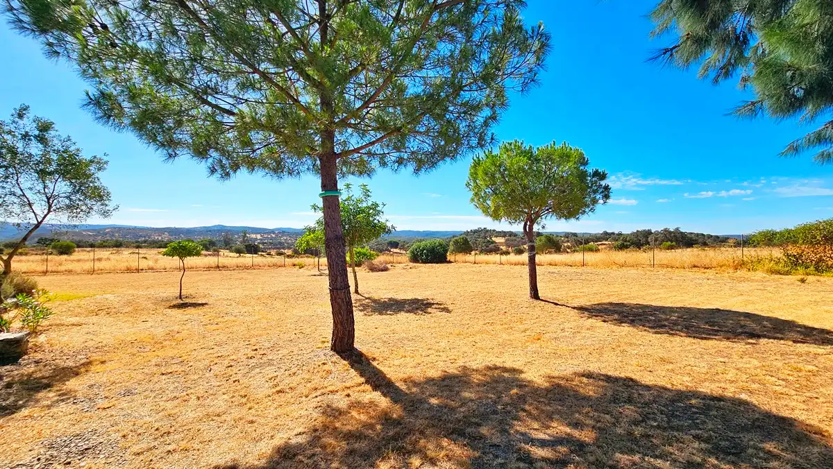 Houses for sale in El Madroño  with Air Conditioner and Private garden