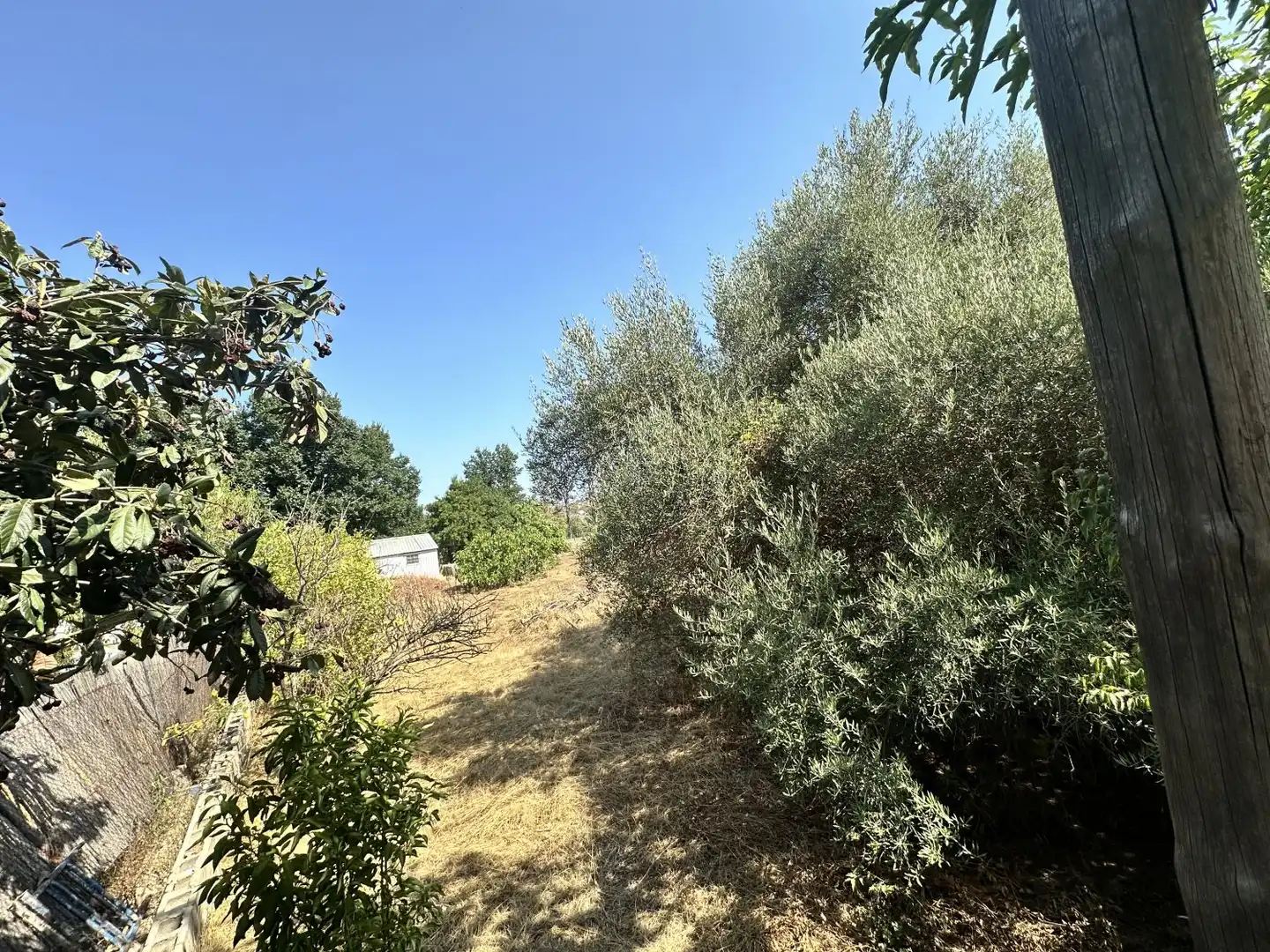 Terreno residencial en venta en Algímia de Alfara, imagen 8