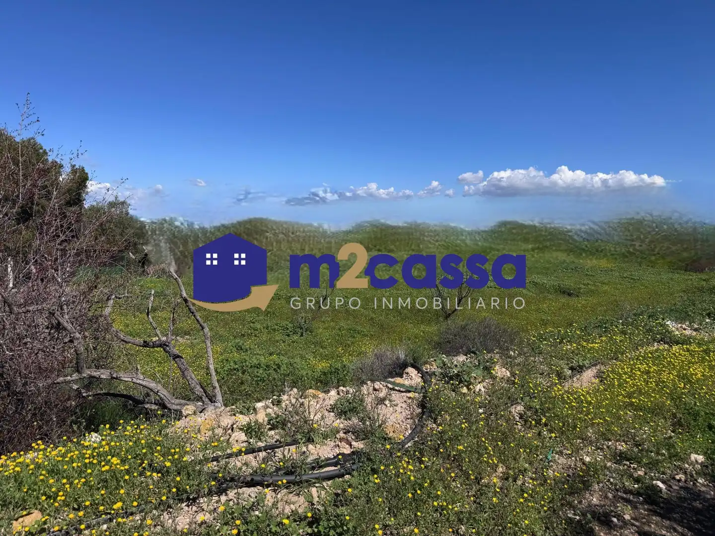 Casa in vendita a Pedanías Centro, imagen 4