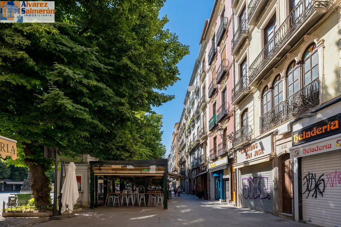 Inmuebles singulares en venta en Centro, imagen 15