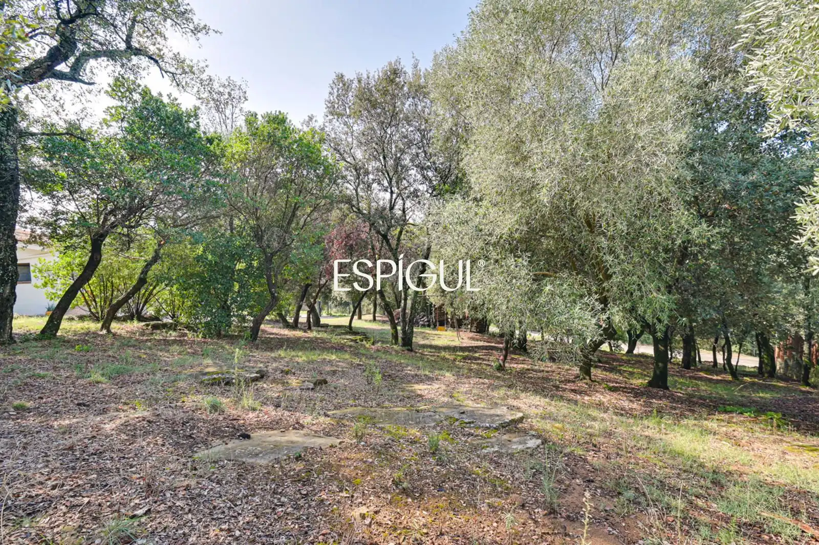 Casa o xalet en venda en Canet d'Adri amb Aire condicionat, Calefacció i Terrassa