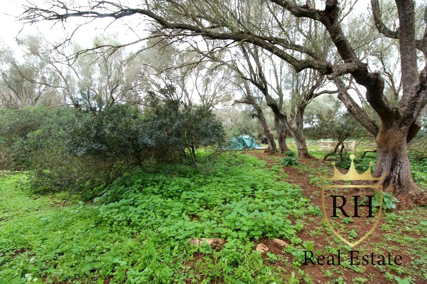 Lands and plots for sale in POLIGONO 49 PARCELA 3, imagen 9