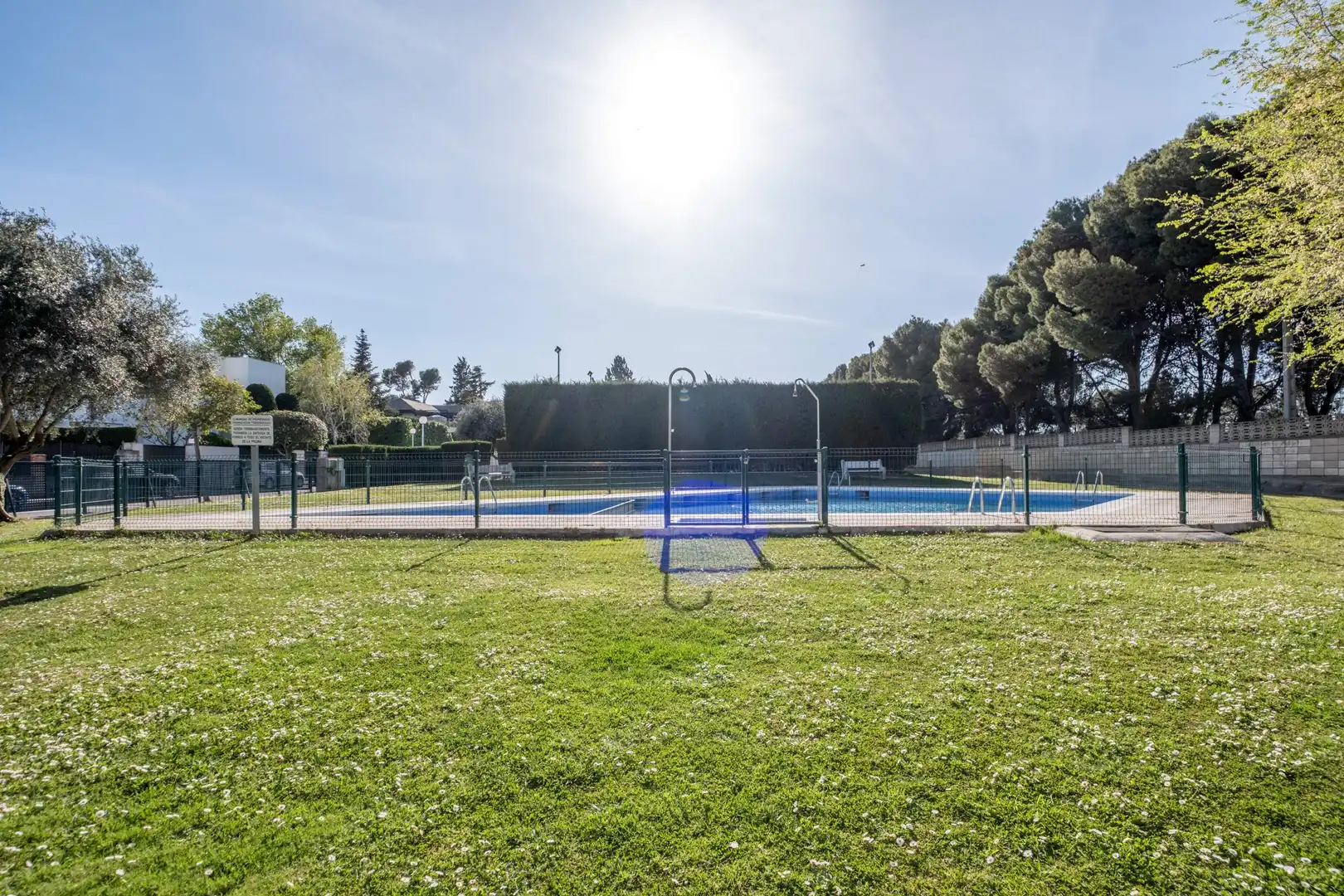 Swimming pool of Residential for sale in Zaragoza