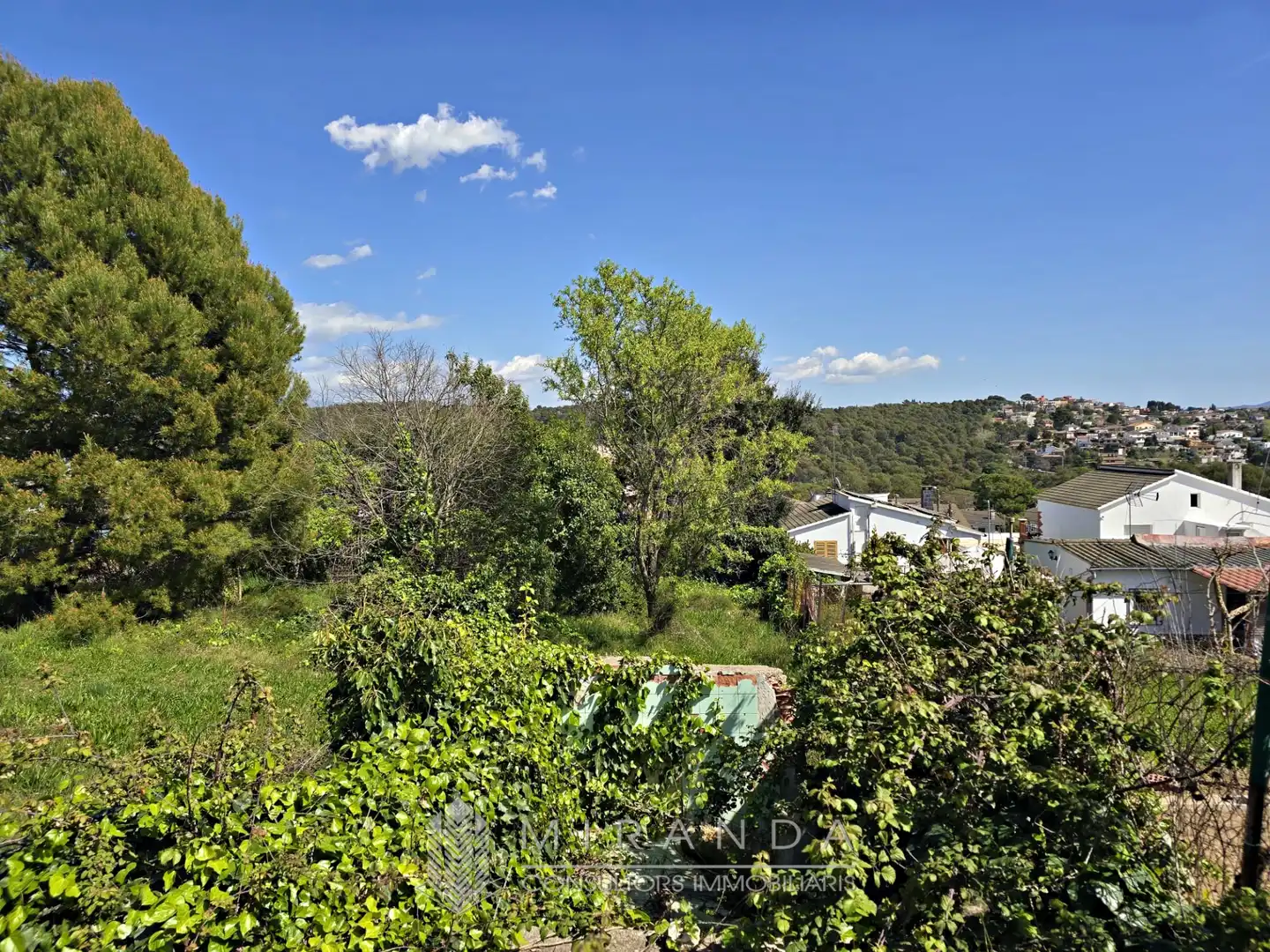 Residential land for sale in Carrer de l'Olivera, imagen 5