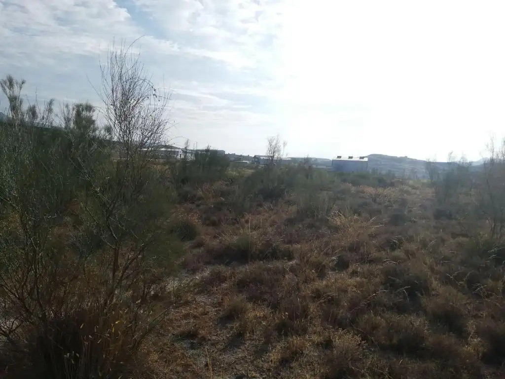 Terreny rústic en venda a Fondón, imagen 2