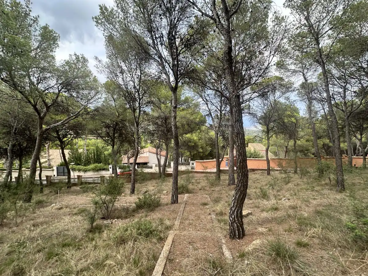 Wohnbaugrundstück zum Verkauf in Torres Torres, imagen 34