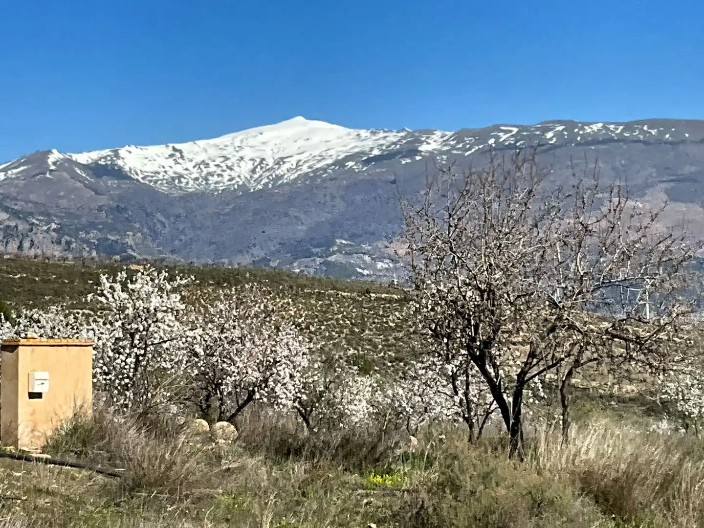 Terreni e lotti in vendita a El marchal, El valle, imagen 13