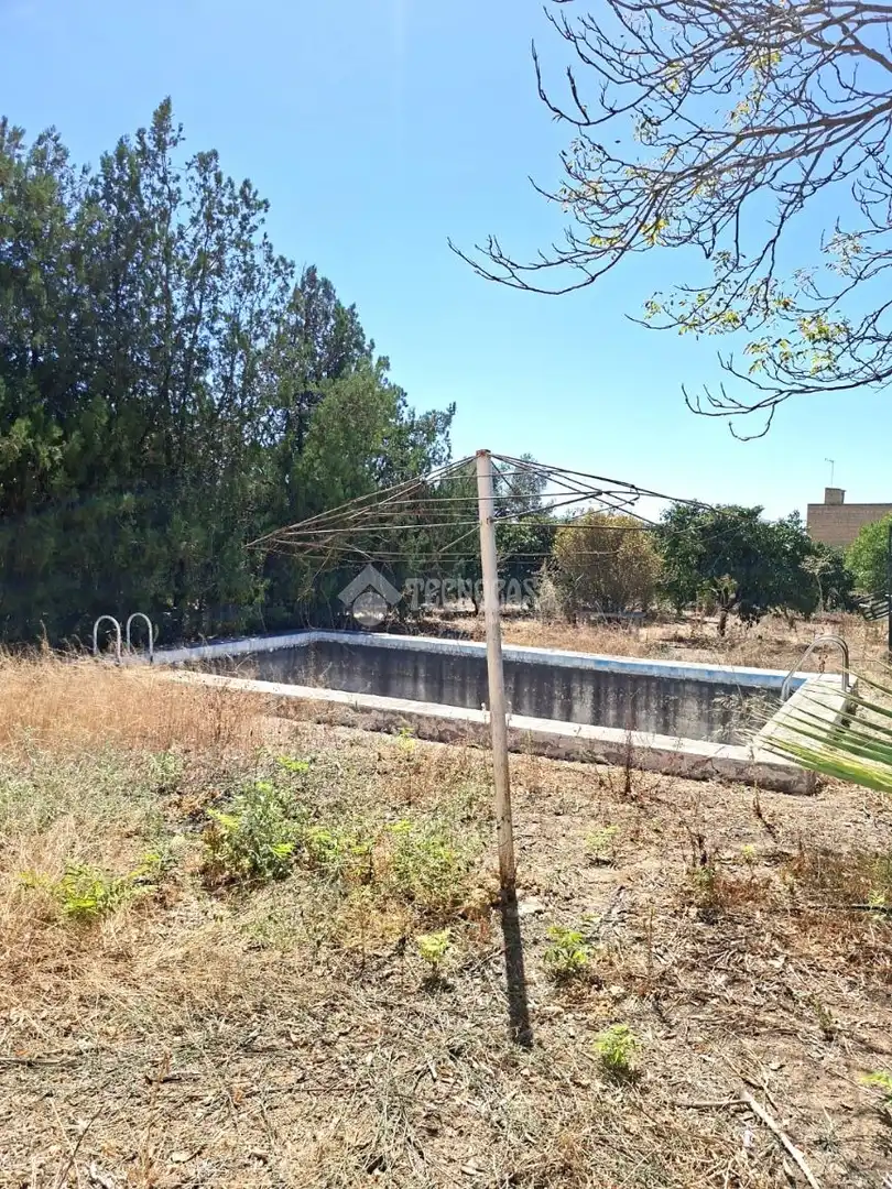 Finca rústica en venta en Almensilla con Trastero