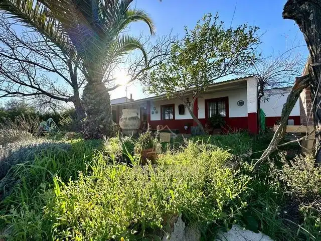 Vista exterior de Finca rústica en venta en Adamuz