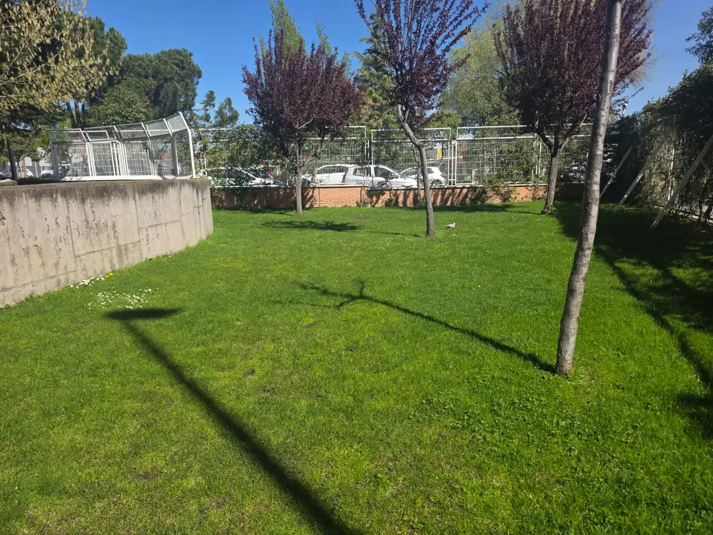 Jardí de Pis en venda en Madrid amb Aire condicionat, Calefacció i Terrassa