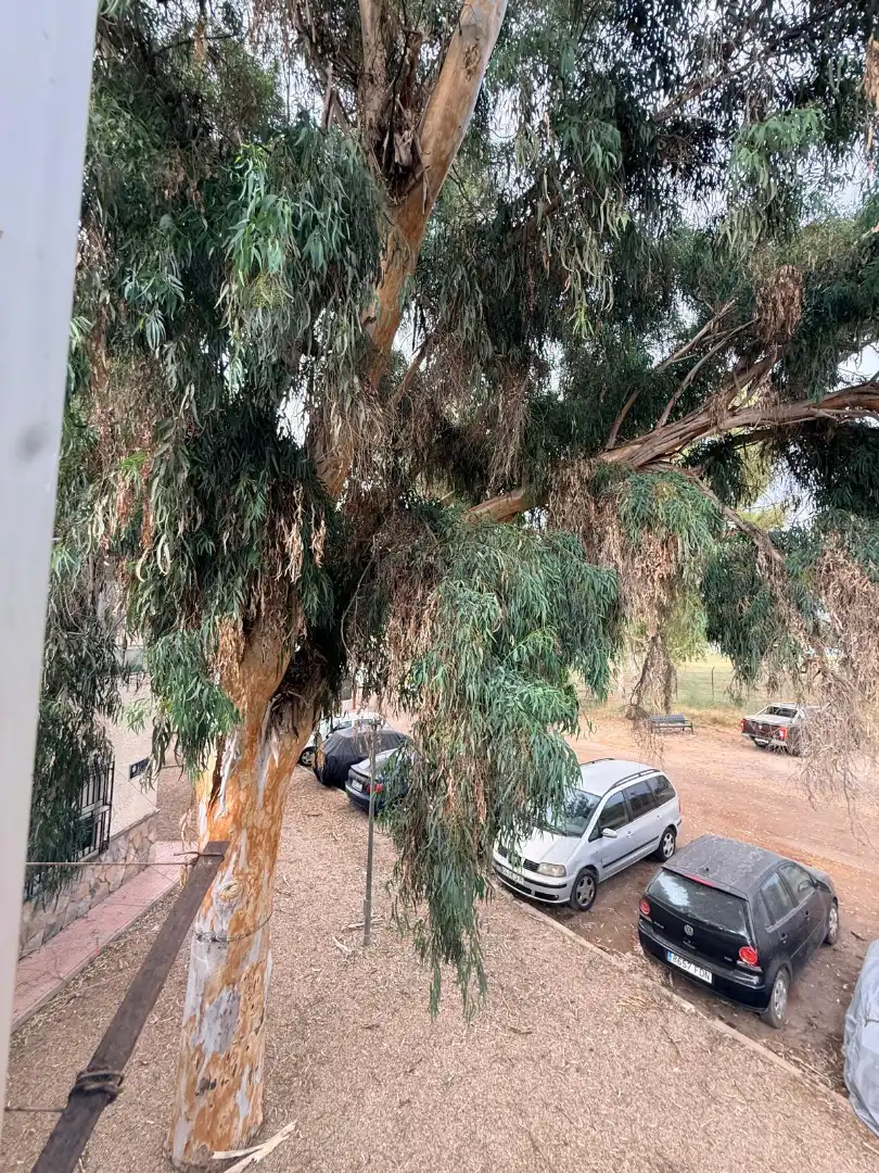 Vista exterior de Pis en venda en Cartagena amb Aire condicionat, Calefacció i Moblat