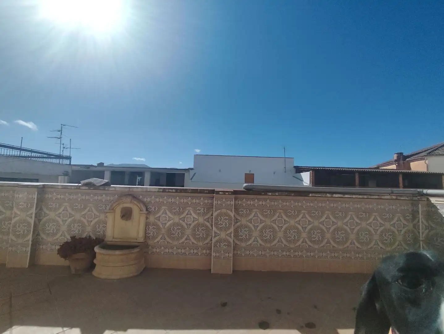 House with terrace for sale in GRANADA 29, imagen 8