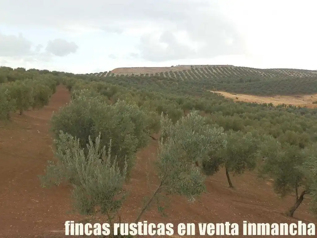 Terreni e lotti in vendita a Andújar, imagen 18