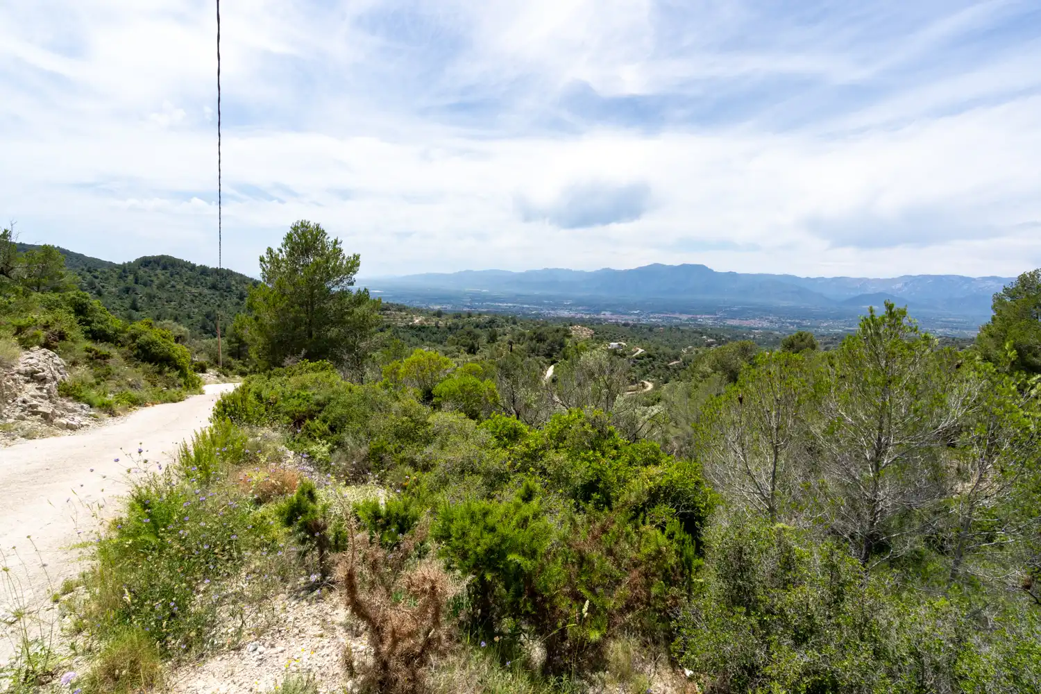 Terrain rustique à vendre à Camí dels Corrals de la Riba 9, imagen 2