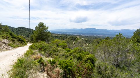 Finca rústica sin edificación y bonitas vistas, imatge 2