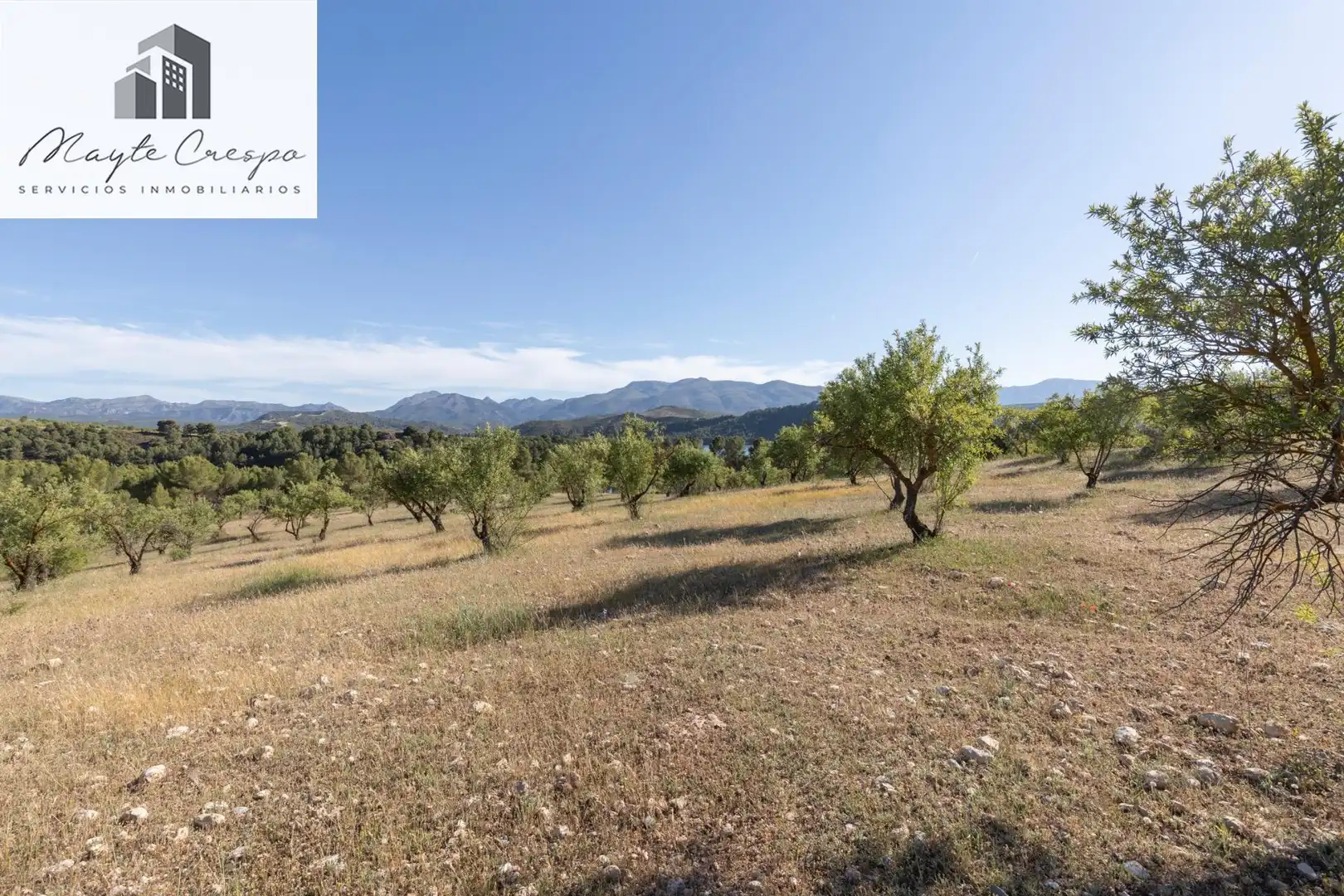 Casa rústica con terraza en venta en Calle GR-3307, Arenas del Rey, Granada GR-3307, imagen 52