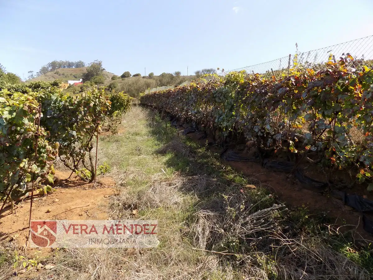 Country homes for sale in Tacoronte