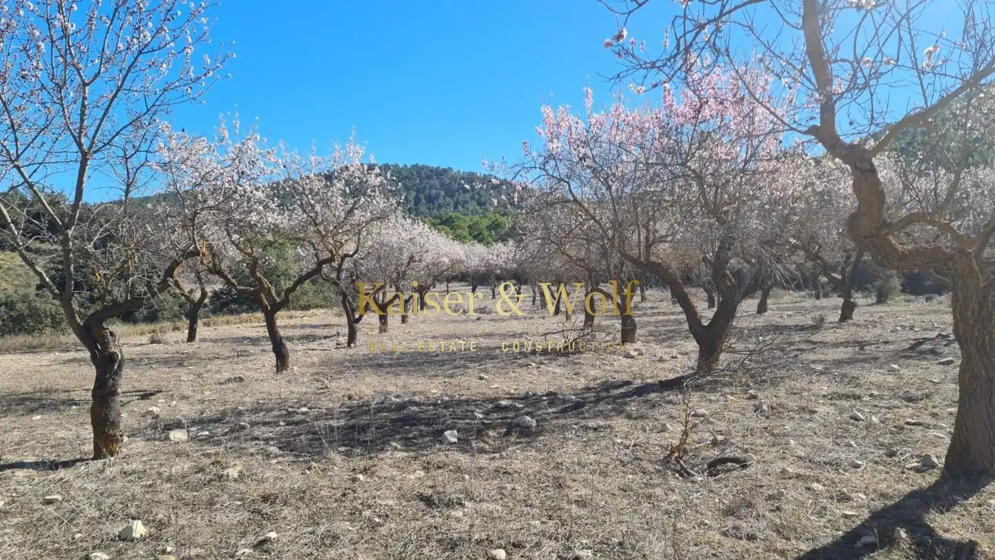 Jardín de Finca rústica en venta en Onil con Jardín privado