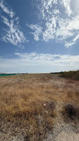 Terreno en Venta en Polígono Polígono 40 Paraje 71 EL PALMAR, 71 en Calahonda - Carchuna