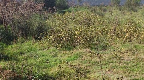 FINCA EN LAS ALGAIDAS MOTRIL