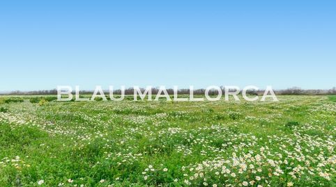 Foto 3 de Finca rústica en venta en Campos poble, Campos