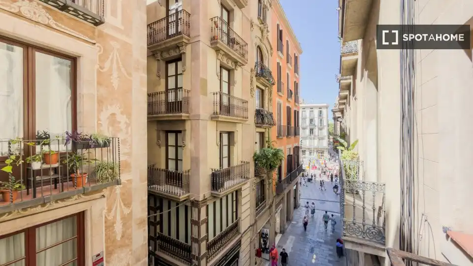 Flat with terrace to rent in Ciutat Vella, imagen 18